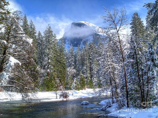 Half Dome and the Merced River
he scene opens on a quiet winter morning in Yosemite Valley, where Half Dome rises like a colossal granite monolith, its sheer face catching the pale, cold light. A thin veil of mist drifts around its base, softening the mountain’s hard edges and giving it an almost ethereal presence—like it’s slowly emerging from a dream.
In the foreground, the Merced River winds gently through the valley. Its surface is smooth and glasslike, reflecting the muted blues and silvers of the winter sky. The water carries a faint shimmer, as if tiny flecks of ice are drifting just beneath the surface.
Along the riverbank, snow-dusted pines and bare winter trees stand in quiet stillness. Their branches hold small pockets of white, and the air around them feels crisp and clean—almost sharp enough to taste. The scent you might imagine is a mix of cold river water, fresh snow, and the earthy resin of pine.
The overall atmosphere is calm, hushed, and reverent. The landscape feels untouched, as though time has slowed to let you take in the grandeur of Half Dome rising above the valley floor. The contrast between the mountain’s immense strength and the river’s gentle flow creates a sense of balance—power and peace held together in a single moment.