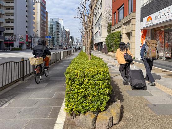 Bike lane and sidewalk separated by a landscaped divider and a decorative railing separating the bike lane from the car traffic.