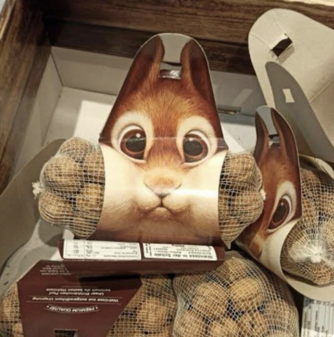 Photo of a long, narrow mesh bag of walnuts, the kind of mesh similar to a bag of onions. Tightly around the middle of the bag - so that the sides squeeze out and bulge - is a thick paper wrapper with a close-up view of a cartoon squirrel's head and ears. The visual effect is that of a squirrel with its cheeks full of nuts, ready to scamper off & hide them.