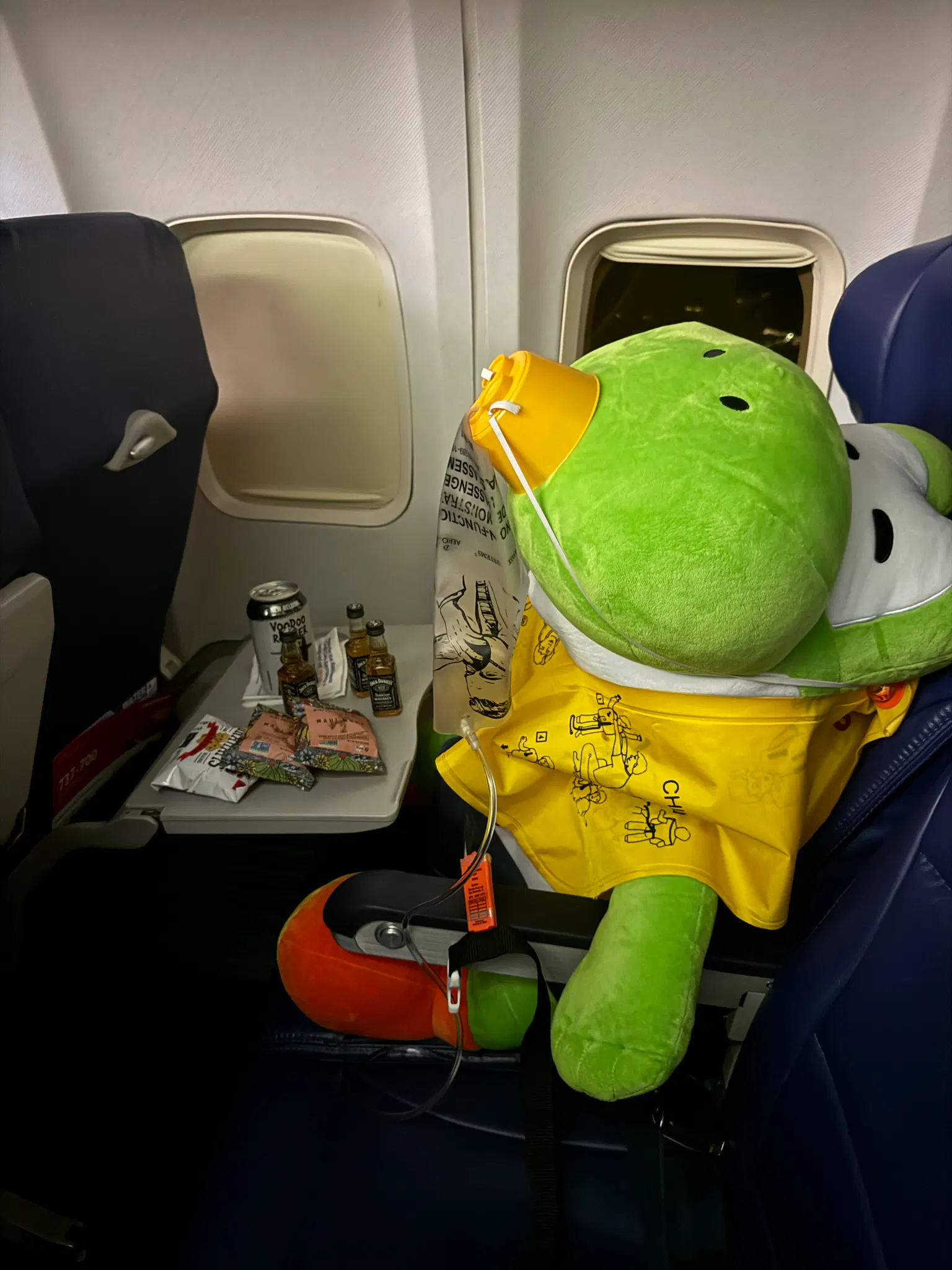 My huge yoshi plush wearing flight safety equipment with graham crackers and jack daniels