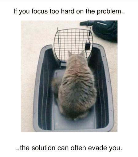 Photo from behind/above of a cat staring at the lattice door of a cat carrier(pet transport box), top part of the carrier missing.
Top text:
If you focus too hard on the problem
Bottom text:
... the solution can often evade you.