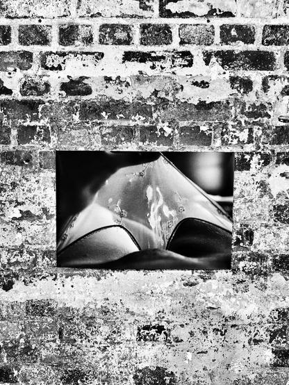 A picture at a bricks wall. Work by Lina Scheynius at Photobookfestival 2026 Leipzig.