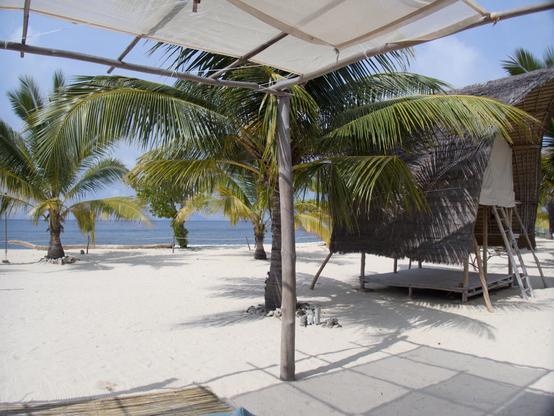 Palm trees dot a sandy beach. Off in the distance is the ocean and on the right is a raised canvas tent