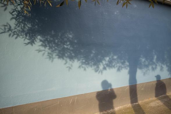 Shadows of two people and a tree with branches projected onto a light blue wall.