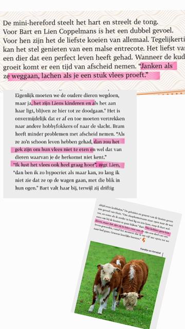 Stukje uit "Landleven" waarin een stel beschrijft hoe ze mini Hereford koeien houden als hobby. De koeien beschouwen ze als hun kinderen, maar ze eten ze wel op.