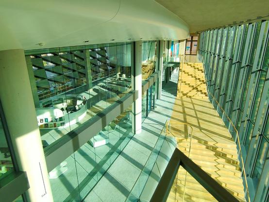 Foto der Deutschen Nationalbibliothek Leipzig, innen. Zu sehen ist ein modernes Treppenhaus mit hölzernen Stufen, rechts davon eine Glasfassade mit Blick nach draußen, links davon geht der Blick durch ein großes Fenster in einen großen Arbeitsraum.
Foto: S. Hagenhoff 2025