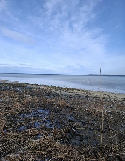 Extremes Niedrigwasser an der wilden Ostseeküste.