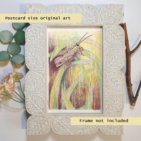 A small colour drawing of a grasshopper in colour pencil with grass stalks. The drawing is in a painterly style.
An original art work, please note that the frame is not included.
Colour pencil on white acid free artist watercolour paper (postcard size).
Approximately 4 by 6 inches (10.16 x 15.24 cm) will fit into a standard 4 by 6 inch photo frame.