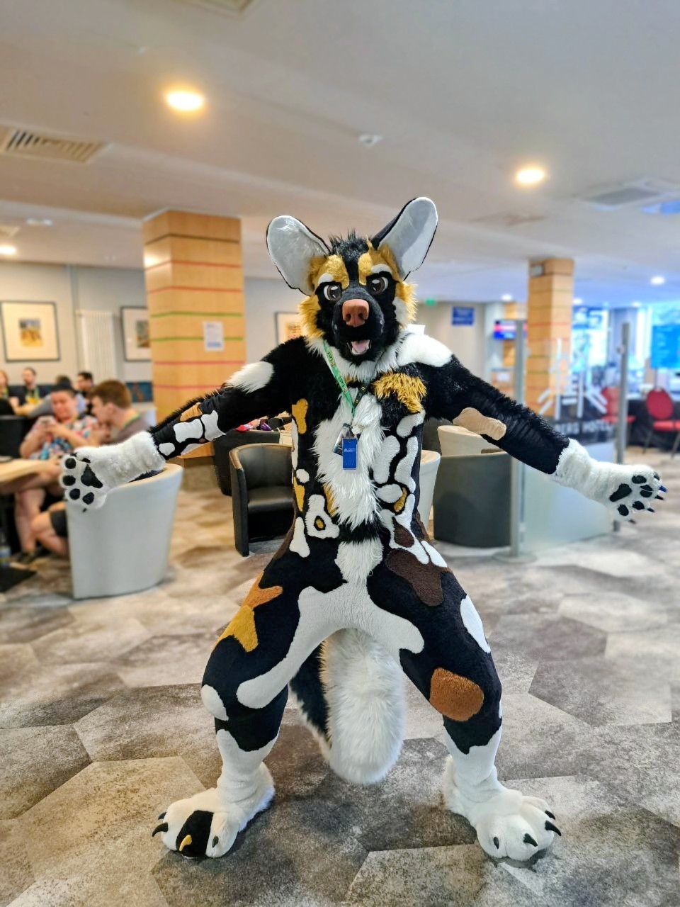 An African wild dog fur suiter looking surprised.