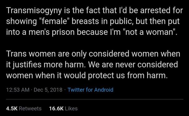 A tweet of the text "Transmisogyny is the fact that I'd be arrested for showing "female" breasts in public, but then put into a men's prison because I'm "not a woman". Trans women are only considered women when it justifies more harm. We are never considered women when it would protect us from harm." This was posted december 5th 2018 and has 4.5k retweets and 16.6k likes.