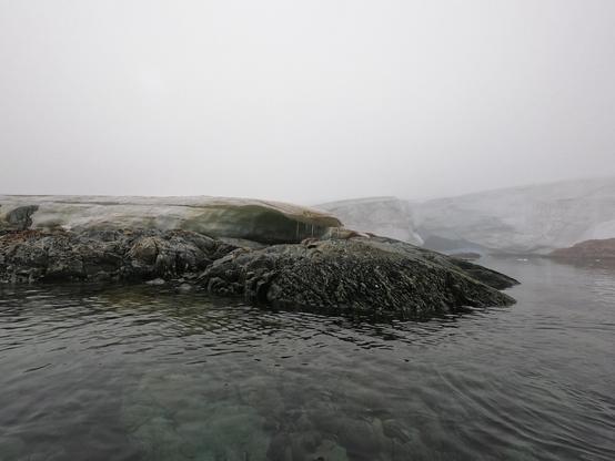 Glacier on an island