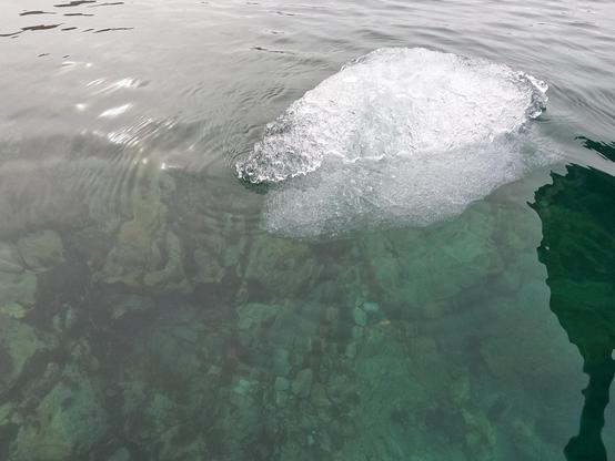 Ice swimming in clear water