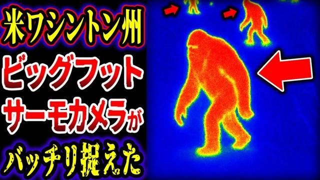 【ゆっくり解説】「最新情報」調査隊が設置したサーモカメラにビッグフットが写った…確実に実在する怪物のヤバい事実が判明【UMA・未確認生物】