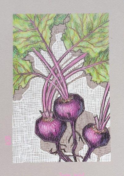 A small original drawing of purple beetroot with stalks and green leaves. The drawing is on grey toned pastel paper.
An original art work, please note that the frame is not included.
Colour pencil and mixed media on acid free toned artist paper
5 by 7 inches (12.7 by 17.8 cm).
