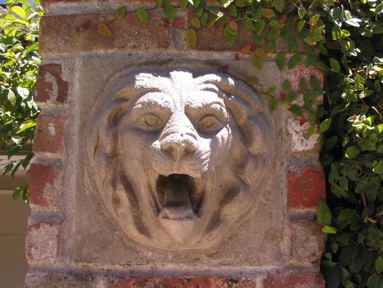A cement lion with its mouth open in a roar is detailed in a plaque on the side of a building in San Francisco now many years ago. The plaque is set into a brick column of some kind, and there are plants visible behind and beside it.