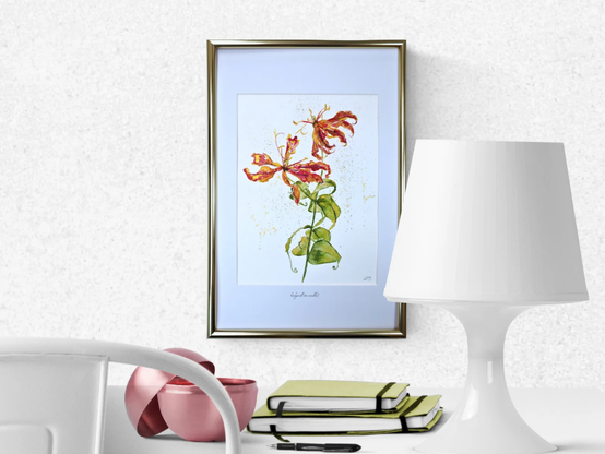auf 20x30cm gerahmtes Aquarell mit Motiv Rispe einer Gloriosa (bizarr blühende Blüte)