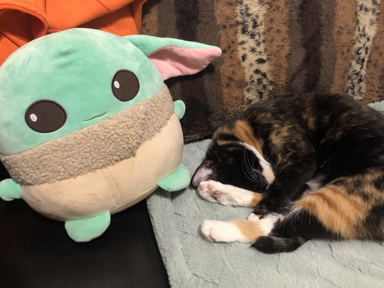 photograph depicts a green plush toy and a sleeping calico cat on a light blue blanket. The plush toy has large black circular eyes, pink inner ears, and a beige textured scarf. The calico cat, with black, orange, and white fur, is curled up with its head resting near the plush. In the background, there is a brown and beige striped blanket and an orange fabric item. There is no text visible in the image.