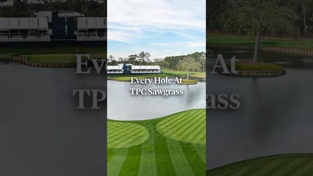 Every hole at TPC Sawgrass in two minutes. 😍