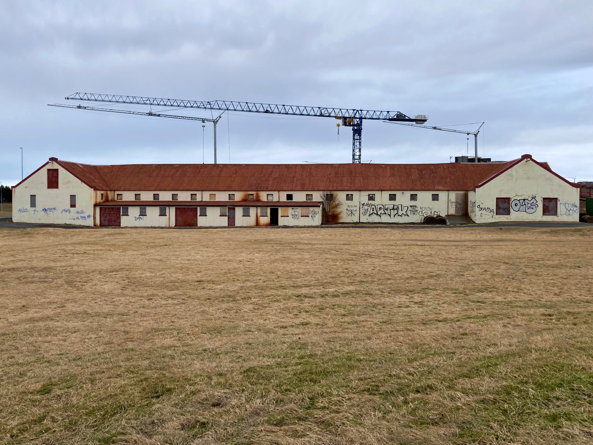 A large barn and cowshed with a rusty roof and large tower cranes in the background.