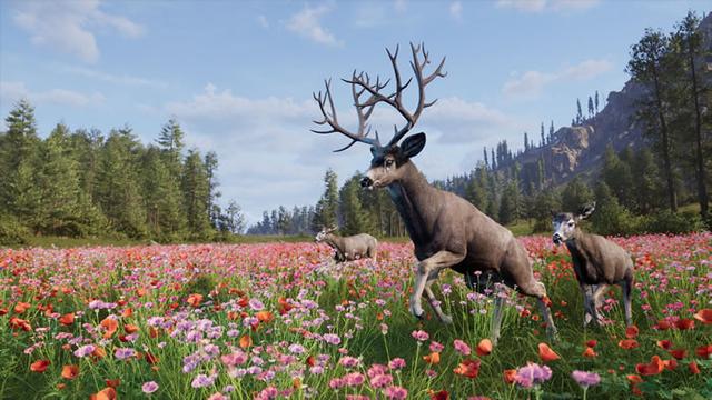 「Way of the Hunter 2」