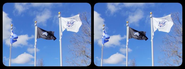 Closer view of some of the flags, including Space Force.