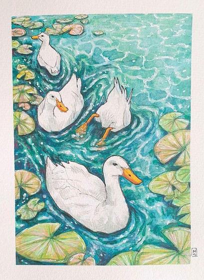 A painting of white ducks swimming on a pond with lily pads.
An original art work, please note that the frame is not included.
Watercolour and mixed media painting on acid free watercolour paper.
Approximately 6x8"(15.24 by 20.32 cm) will fit an 8x6" standard frame.