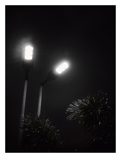 A low-angle view of two bright streetlights shining against a pitch-black sky, illuminating the silhouetted fronds of plants in the foreground. - Google Gemini 3.1 Pro Preview
