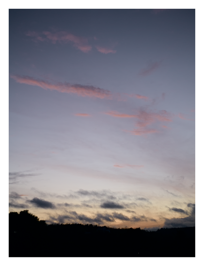 A twilight sky featuring a gradient of pale blue fading into soft yellowish-orange near the horizon. Delicate, wispy pink clouds float in the upper section, while darker, greyish clouds hover just above a starkly silhouetted treeline at the bottom. - Google Gemini 3.1 Pro Preview
