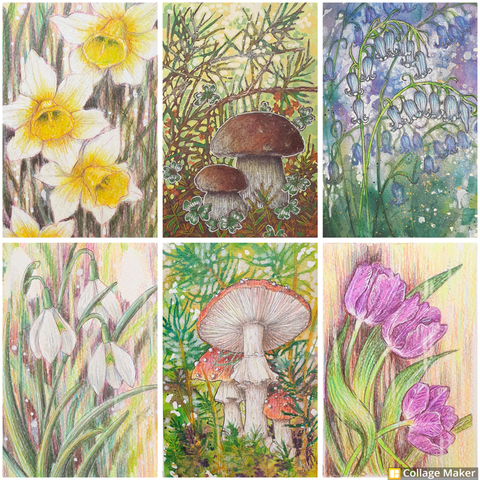 A photo collage of some of my floral and mushroom art:
yellow and white daffodils, bolete mushrooms, bluebells, snowdrops, fly agaric mushrooms and tulips