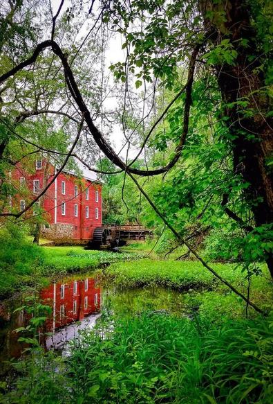 This enchanting print invites you to step through verdant vines into the lush greenery of the New Jersey Pine Barrens, where the historic Kirby's Mill stands witness to a bygone era, its restored red siding reflecting in the tranquil mill pond. Peering through the tangled branches, you can almost hear the hum of the mill's waterwheel echoing across centuries. Overgrown foliage brings a sense of mystery and discovery, as if you stumbled on a hidden gem.