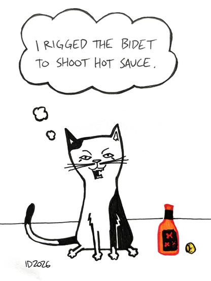 a black and white cat sits next to a bottle of hot sauce and thinks "i rigged the bidet to shoot hot sauce."