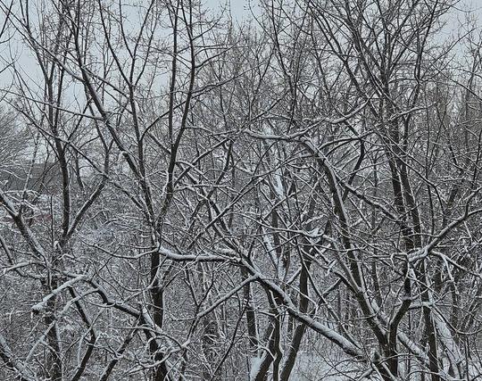 neige