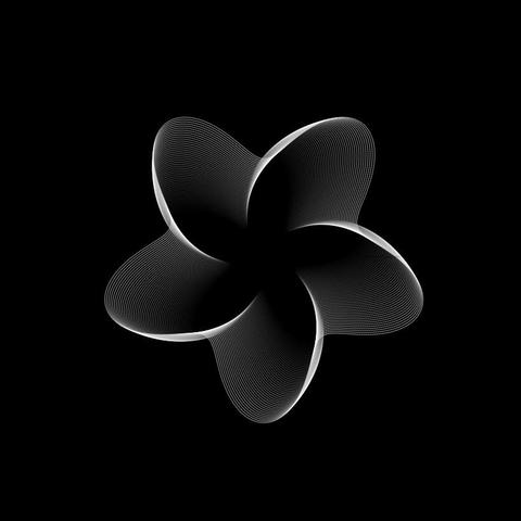 It's a combination of trigonometric functions looking like a flower or a wind catcher in black colors with some white.