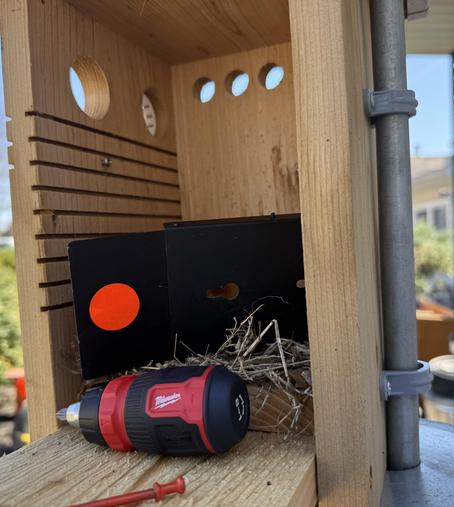 Side opening two hole box seen with a plug in one hole and a screw below the other. A tiny screwdriver seen the van set trap isn’t hung or set yet