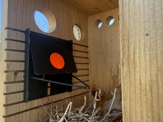 Similar view with the trap hung and armed.