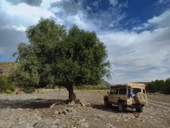Lonely tree and a Land Rover in a dry riverbed.