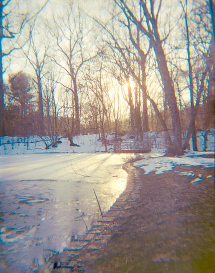 The sun shines through trees on a frozen lake. The shore forms a curvy leading line towards the sun