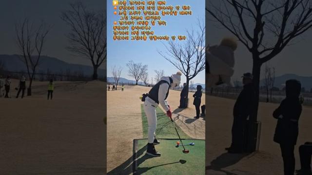 파크골프열풍 칠곡군 파크골프협회장기대회 석적파크골프장