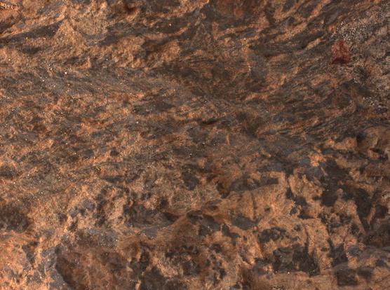 Mars2020_-_Sol_1800_-_WATSON_(55147092581).jpg