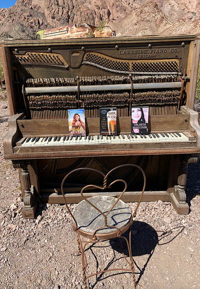 Took the books on a road trip to Nelson, Nevada.