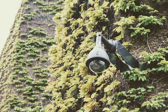 london, monitoring, camera, film, video surveillance, surveillance camera, security, control, recording, watch, video surveillance, video surveillance, video surveillance, surveillance camera, surveillance camera, surveillance camera, surveillance camera, surveillance camera, security