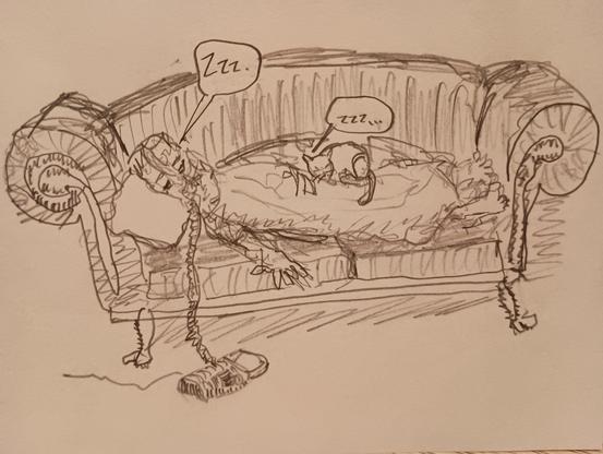 drawing of man sleeping on couch, blanket over him, cat sleeping on blanket.