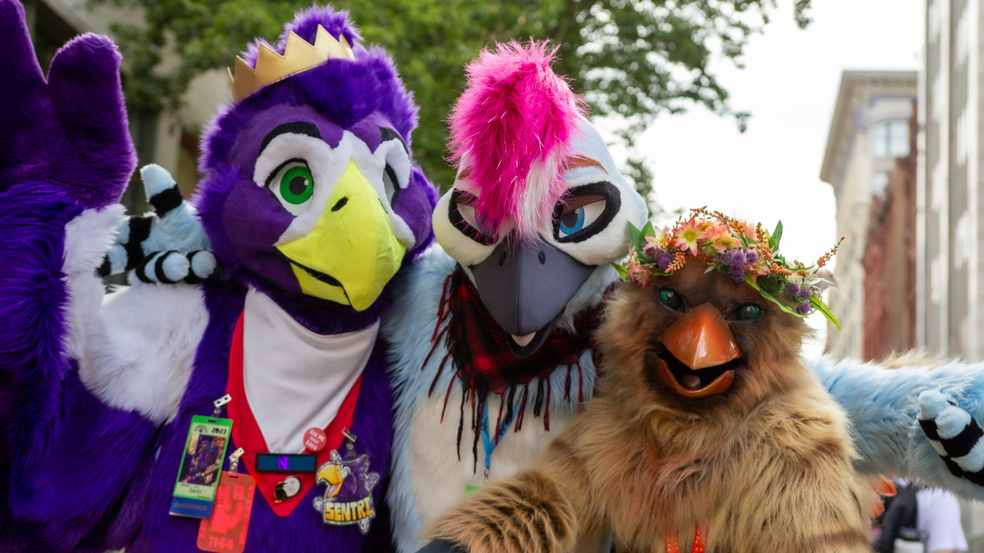 A close up photo of the trio.