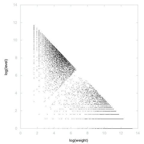Decomposition into weight × level + jump of Fouvry-Iwaniec primes in 2D (log(weight), log(level))