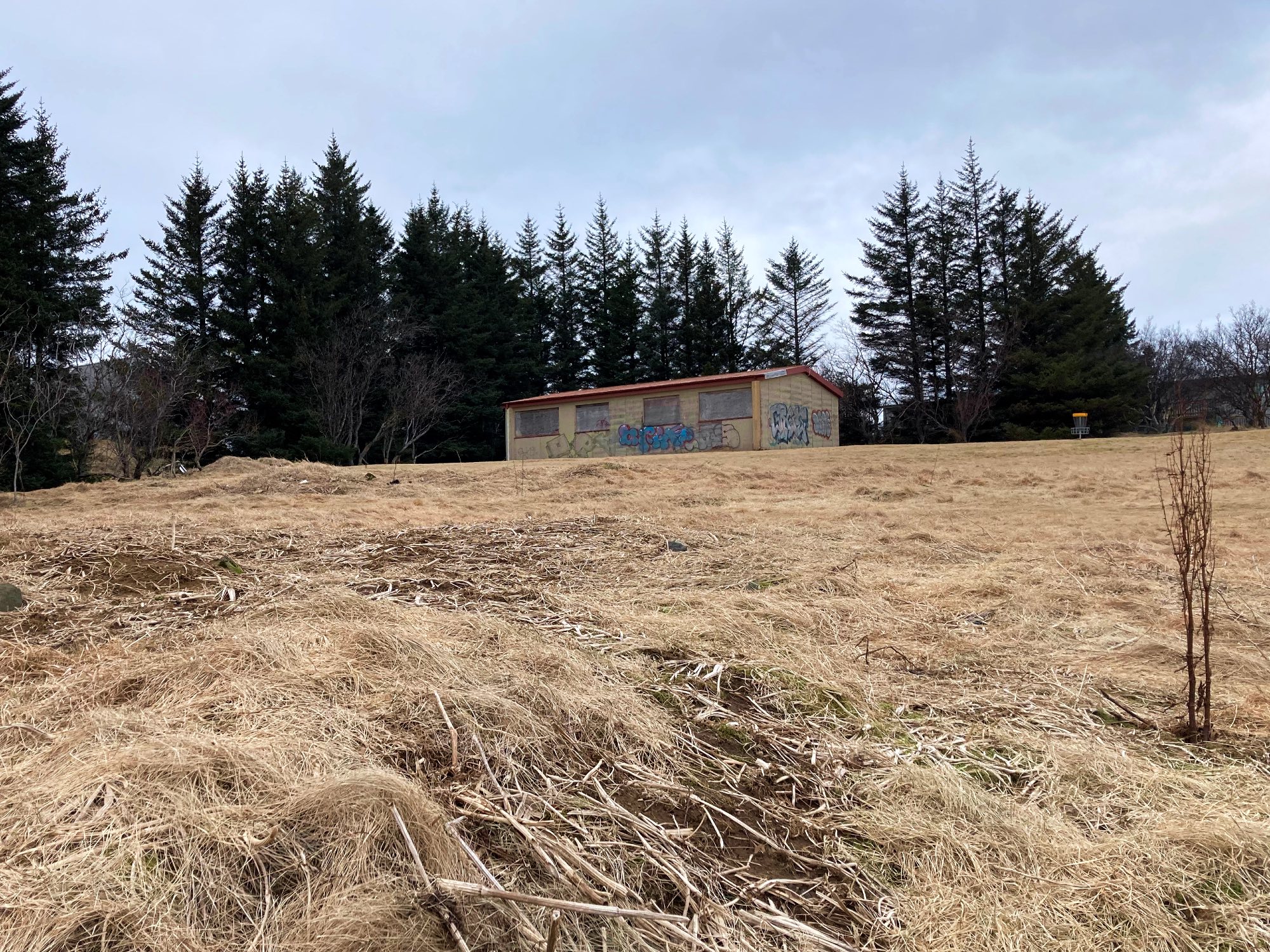 An abandoned house with boarded up windows, covered in graffiti.