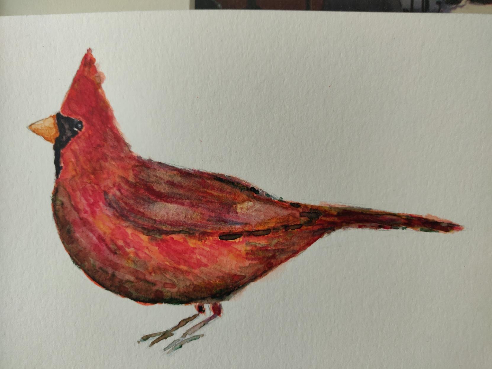 A painting of a northern Cardinal in watercolor