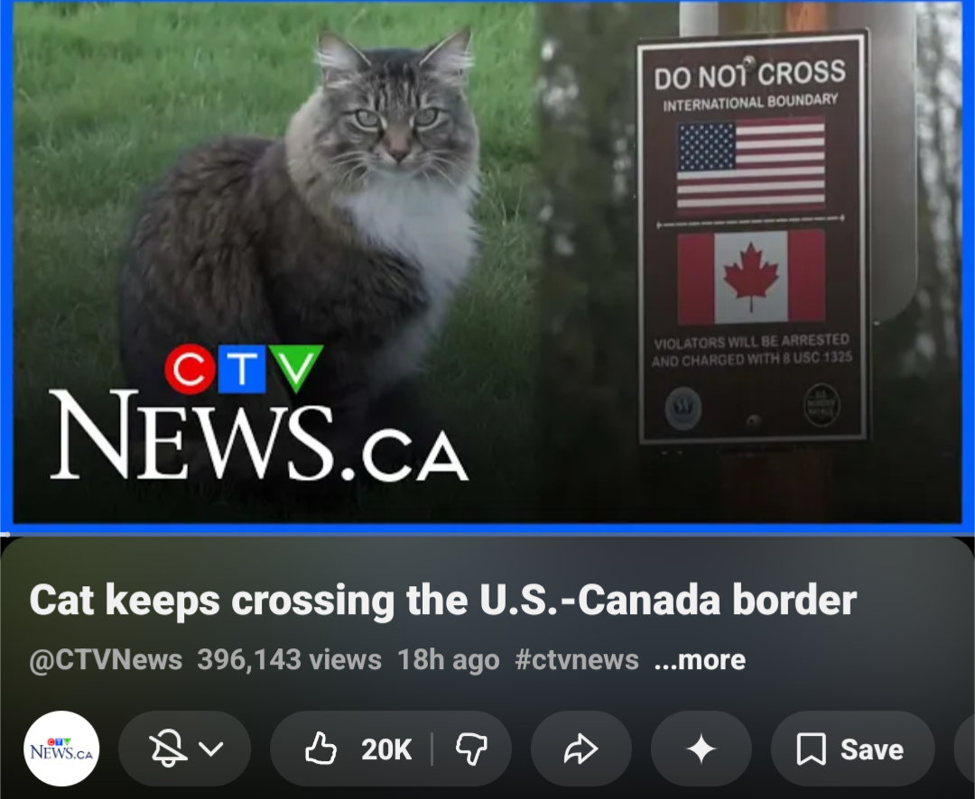Cat keeps crossing the U.S.-Canada border