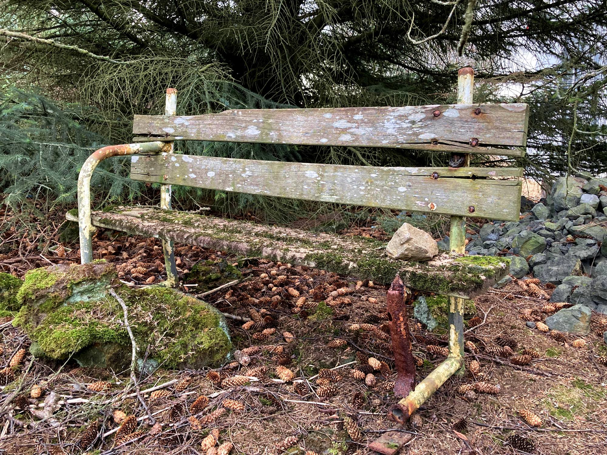 A very old bench with some moss growing on it.