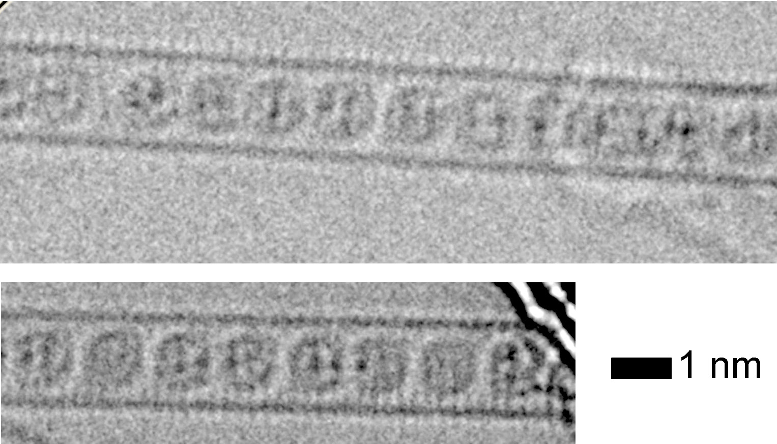 TEM images. it's exactly what it sounds like - a carbon nanotube with many buckminster fullerenes lined up like some sort of weird blocky liquid in a pipe. or peas in a pod