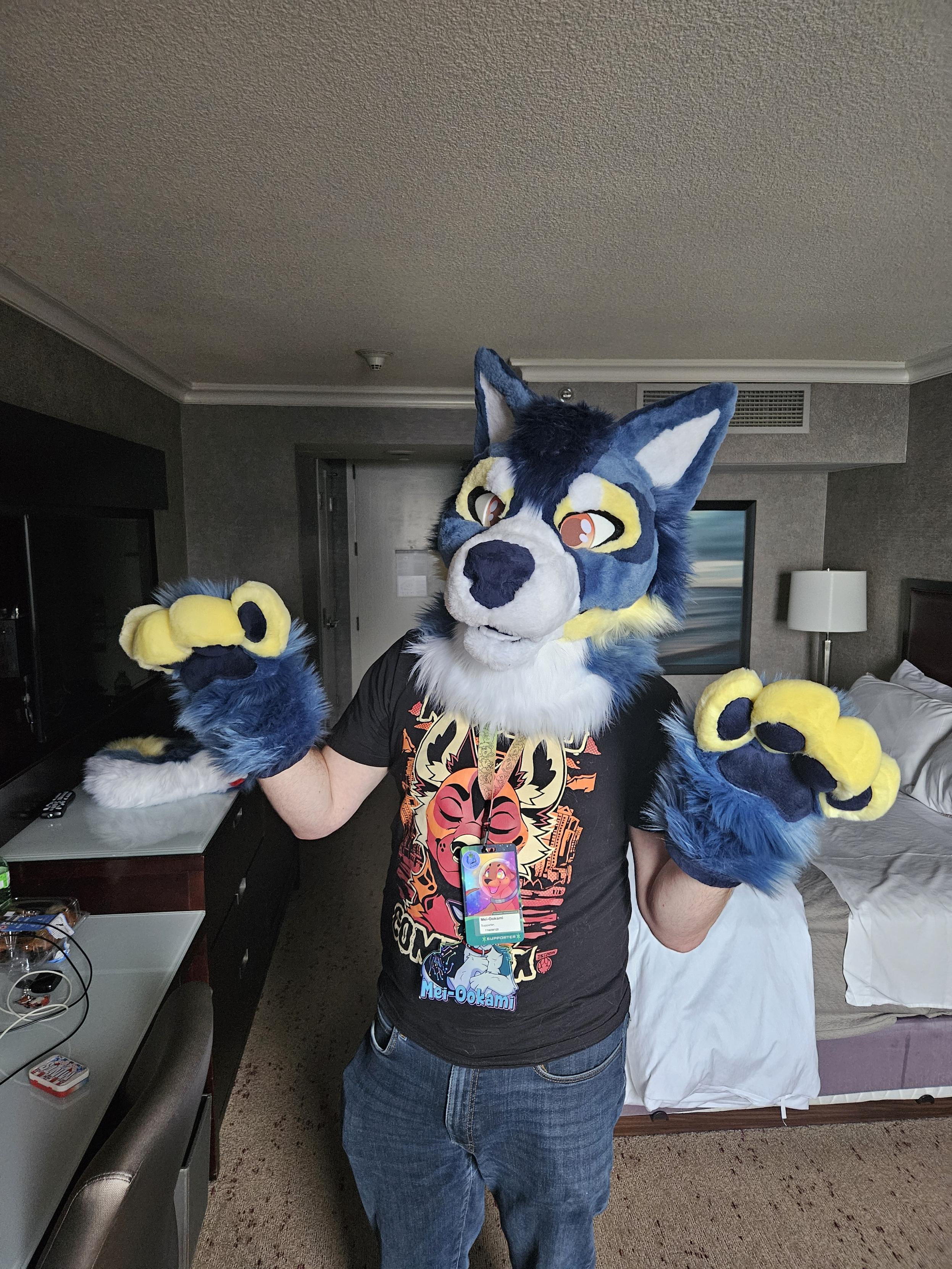Guy wearing a fursuit partial of a blue and white husky with yellow accents